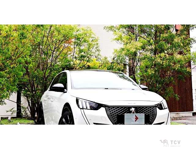 2021 Peugeot 208
