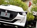 2021 Peugeot 208