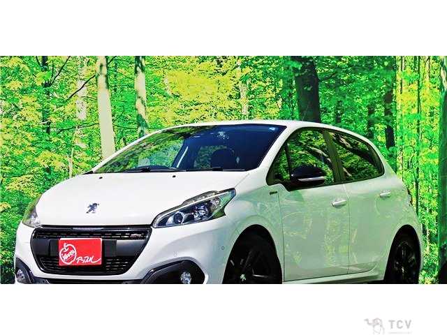 2019 Peugeot 208