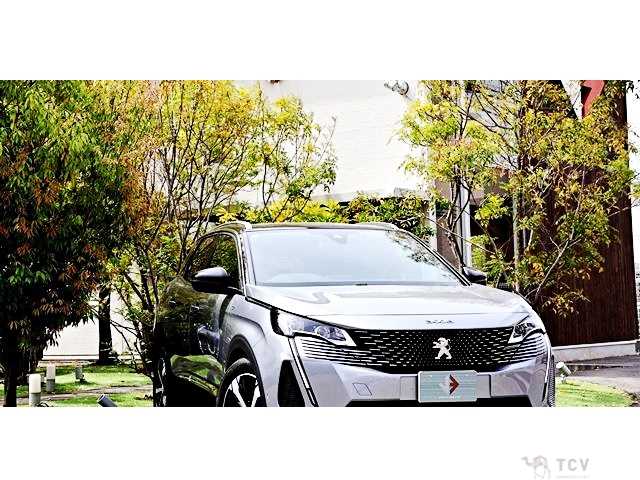 2024 Peugeot 3008