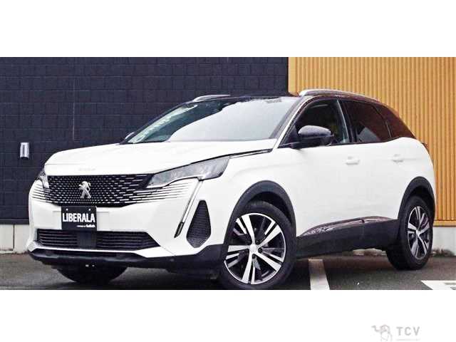 2021 Peugeot 3008