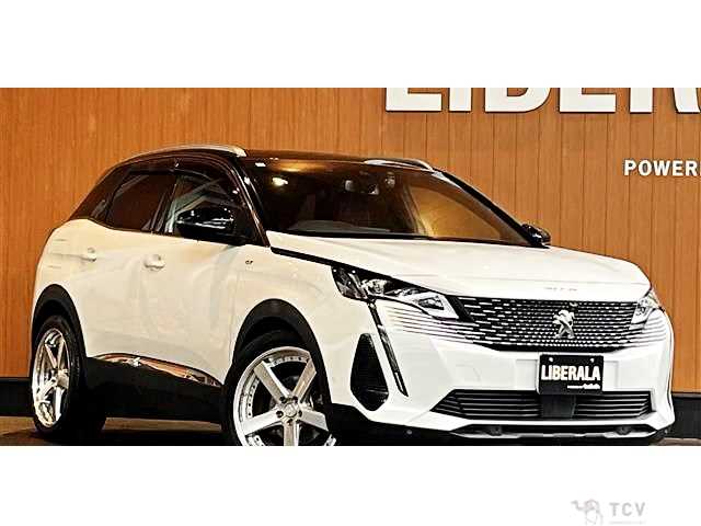 2021 Peugeot 3008