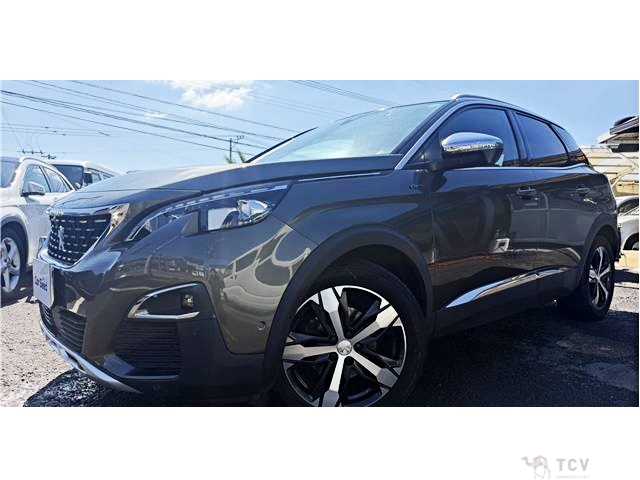 2019 Peugeot 3008