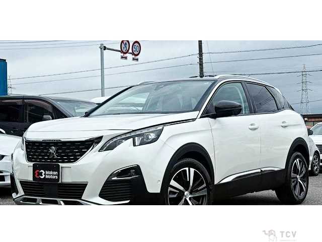 2019 Peugeot 3008