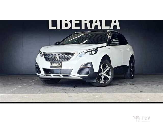 2019 Peugeot 3008