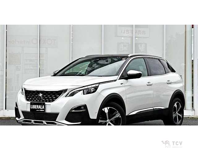 2019 Peugeot 3008
