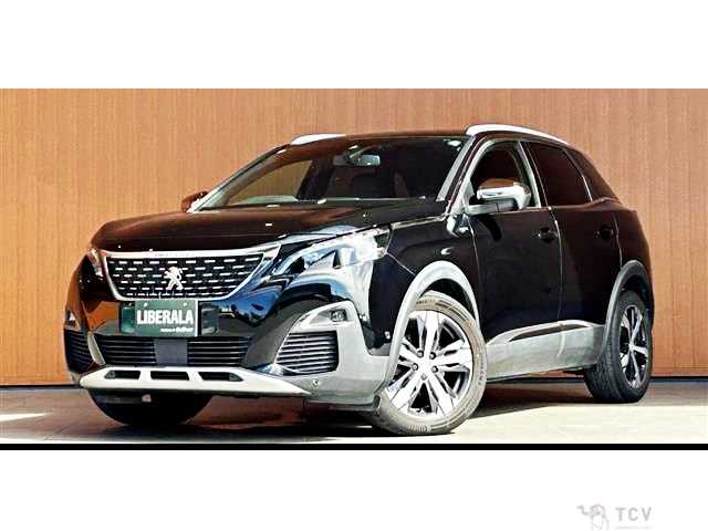 2019 Peugeot 3008