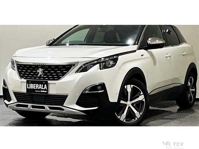 2019 Peugeot 3008