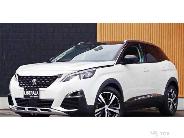 2019 Peugeot 3008
