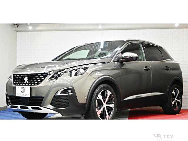 2019 Peugeot 3008