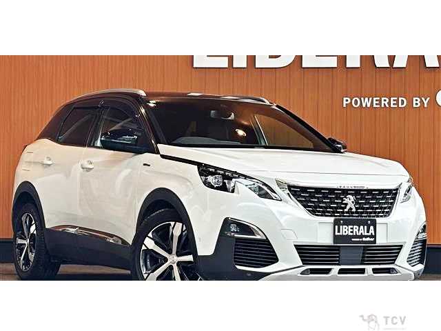 2017 Peugeot 3008