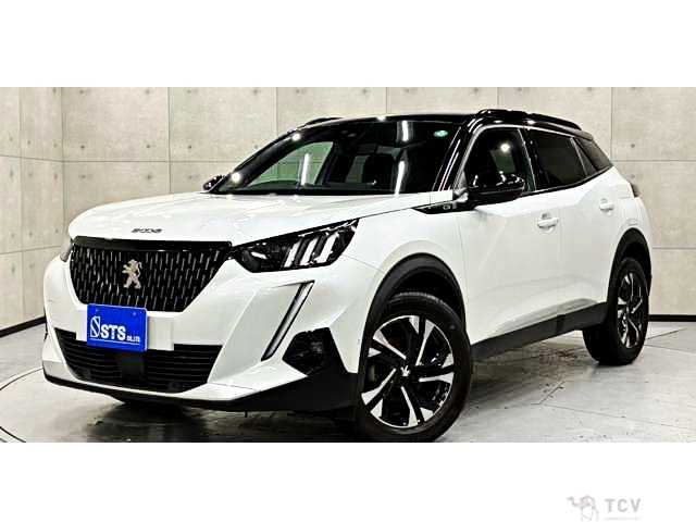 2021 Peugeot 2008