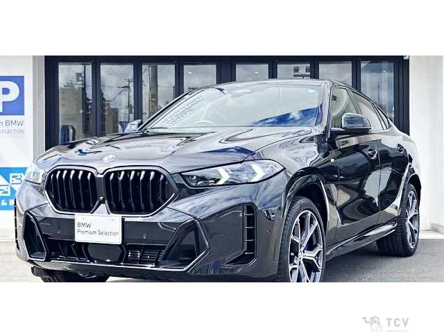 2026 BMW X6