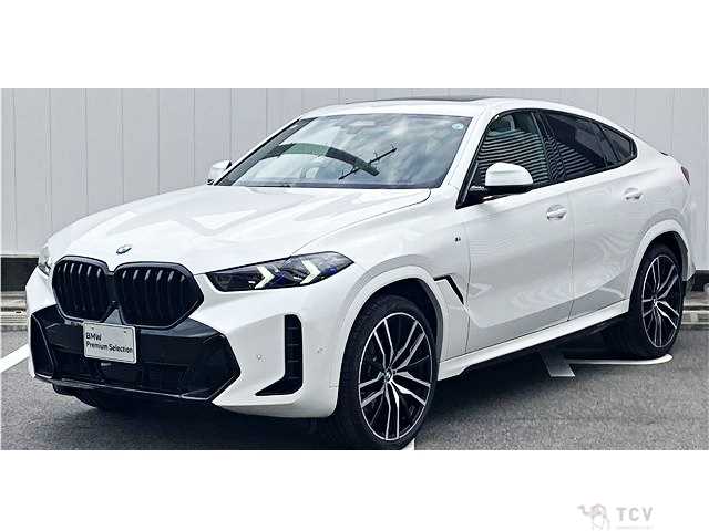 2026 BMW X6