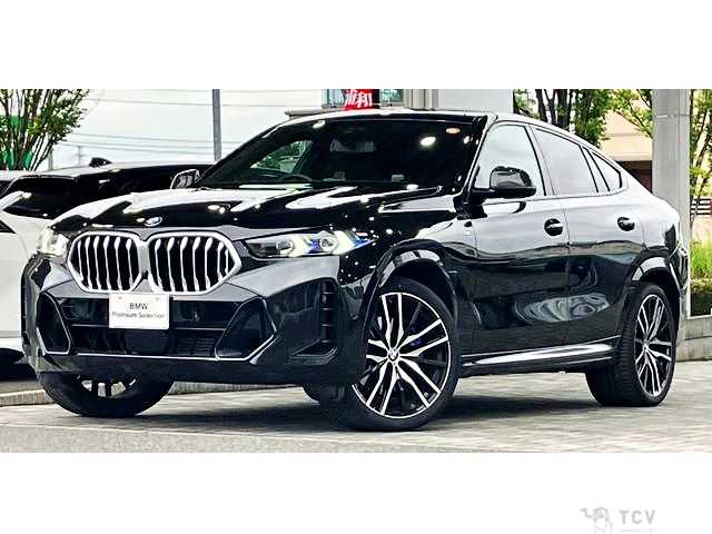 2025 BMW X6