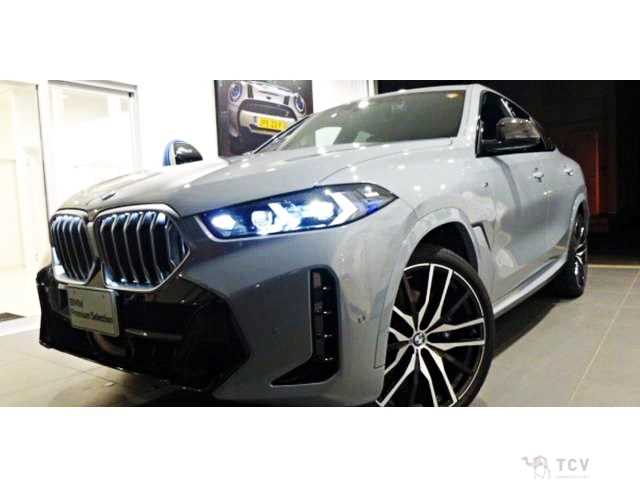 2025 BMW X6