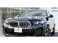2025 BMW X6