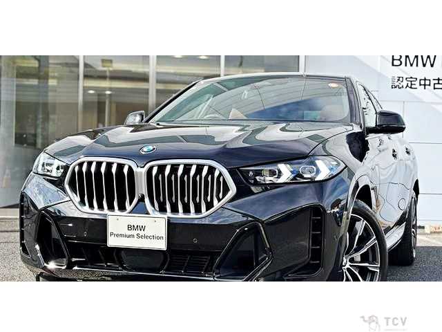 2025 BMW X6