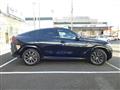 2025 BMW X6