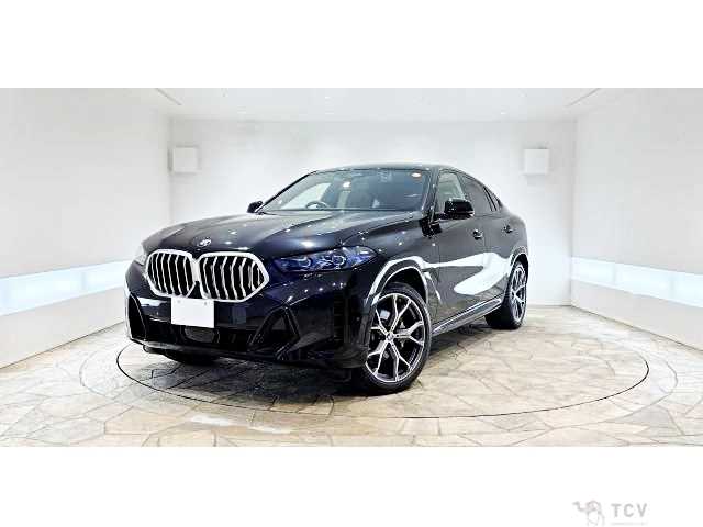 2024 BMW X6