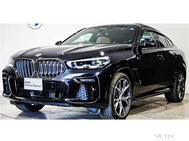 2023 BMW X6