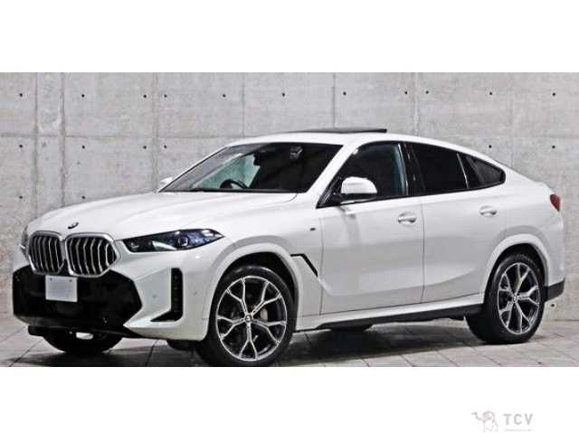 2023 BMW X6