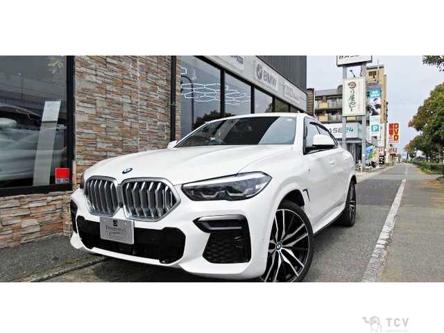 2022 BMW X6