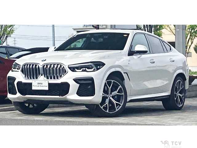 2022 BMW X6