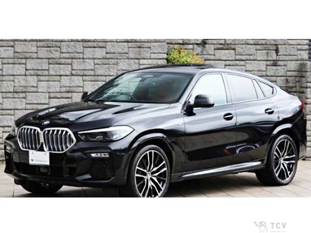 2021 BMW X6