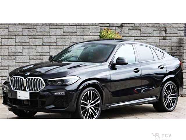2021 BMW X6