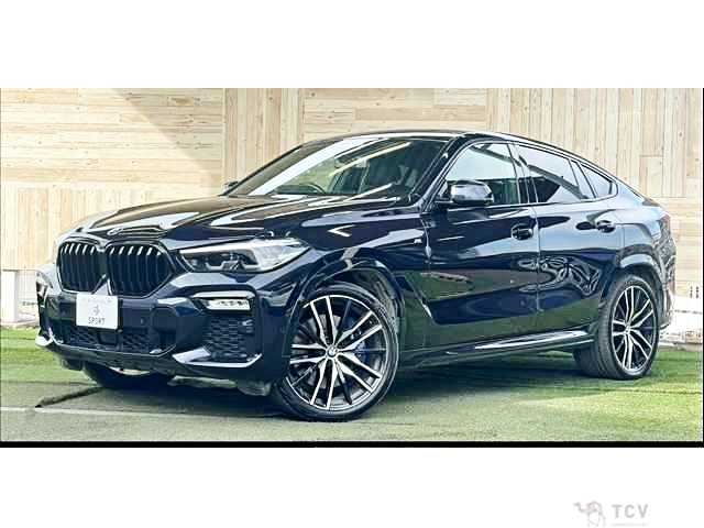 2020 BMW X6