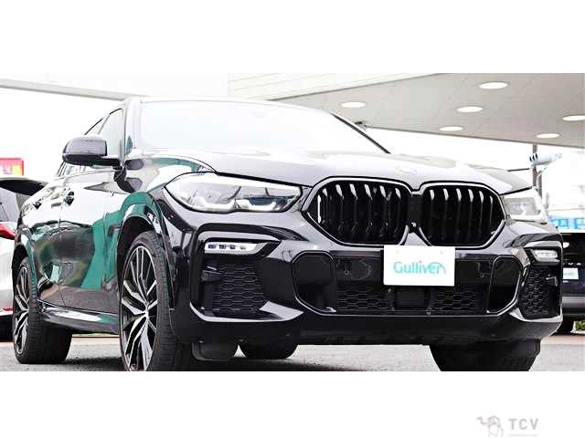 2020 BMW X6