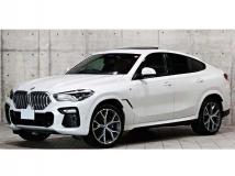2020 BMW X6