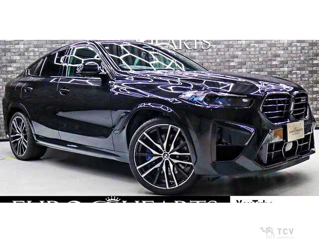 2020 BMW X6