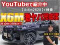 2020 BMW X6