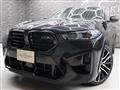 2020 BMW X6