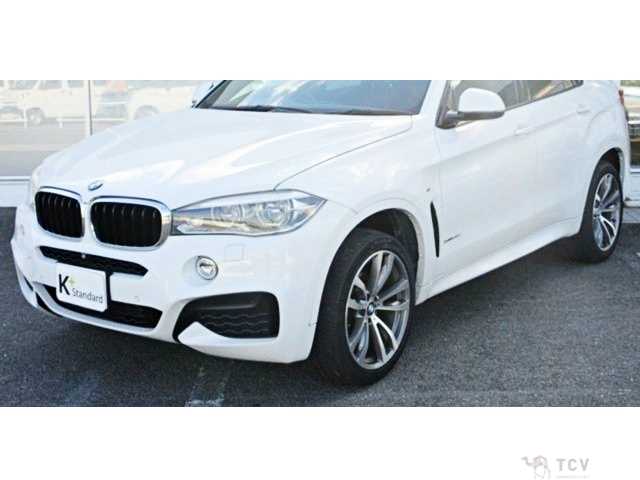 2015 BMW X6