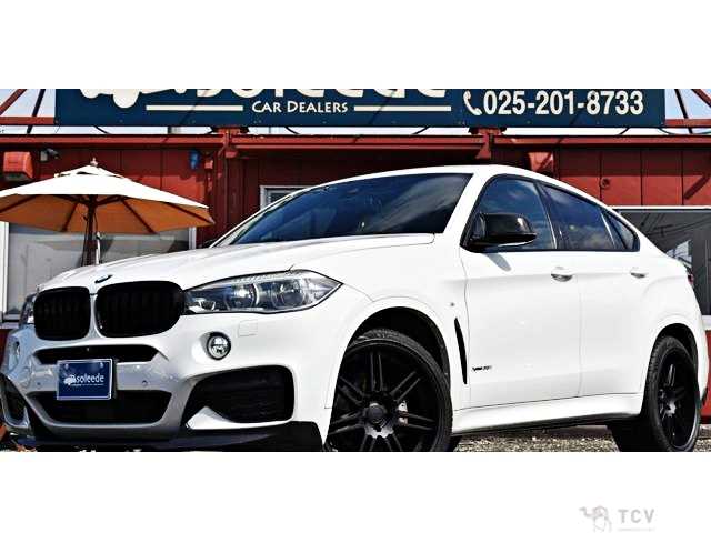 2015 BMW X6