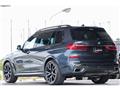 2019 BMW X7