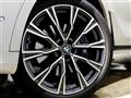 2019 BMW X7