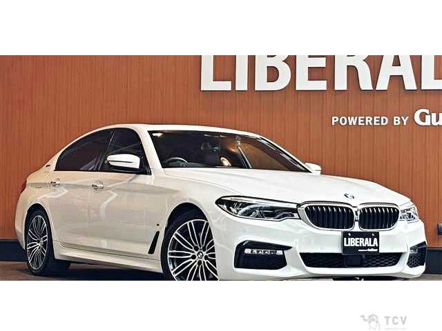 2019 BMW 5 Series