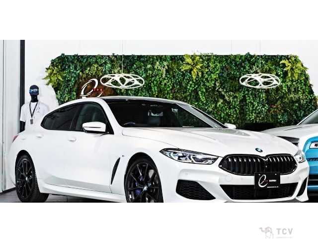 2020 BMW 8 Series