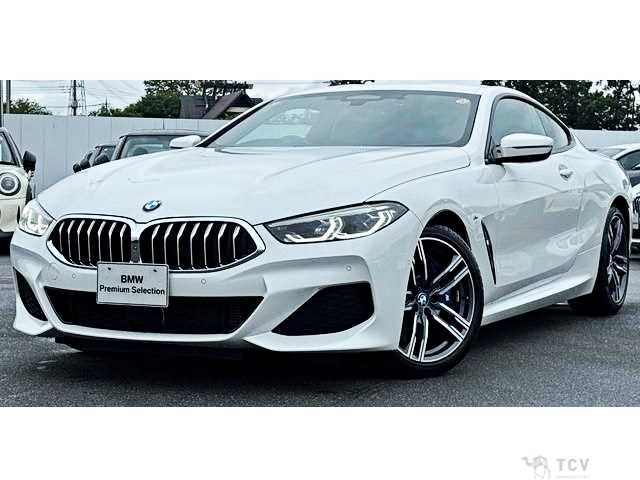 2020 BMW 8 Series