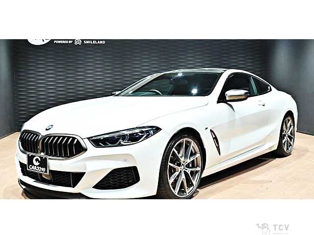 2019 BMW 8 Series