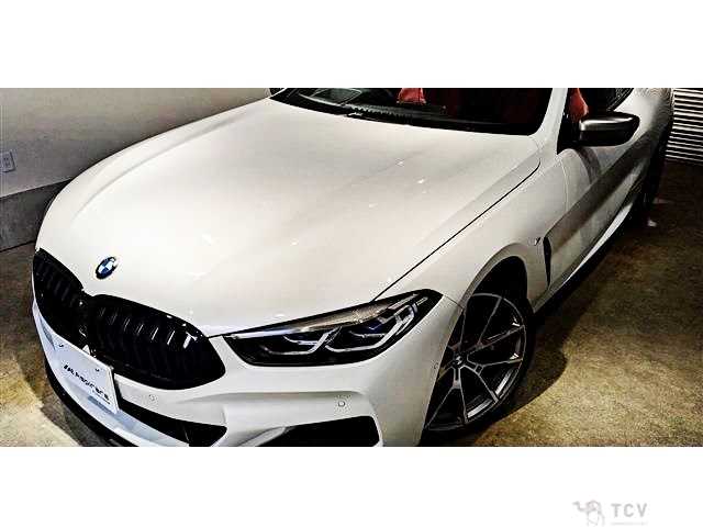 2019 BMW 8 Series