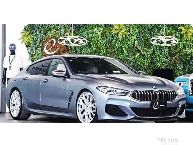 2019 BMW 8 Series