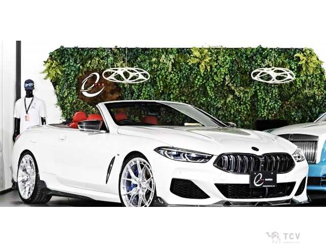 2019 BMW 8 Series