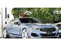 2018 BMW 8 Series