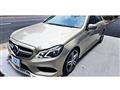 2009 Mercedes-Benz E-Class
