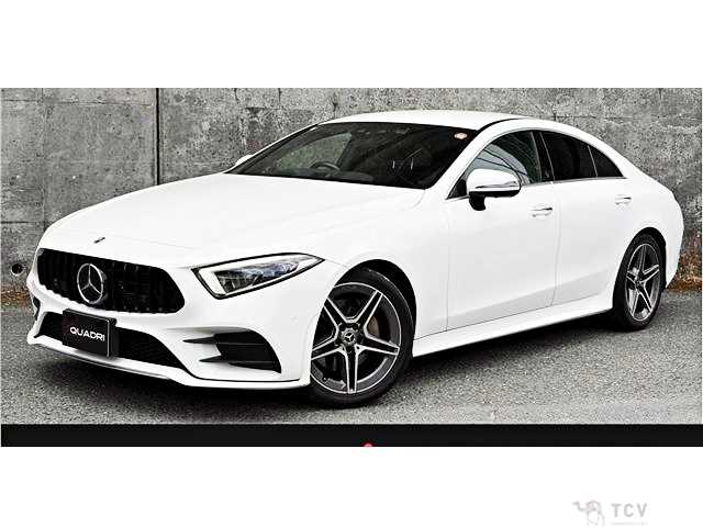 2019 Mercedes-Benz Cls-Class